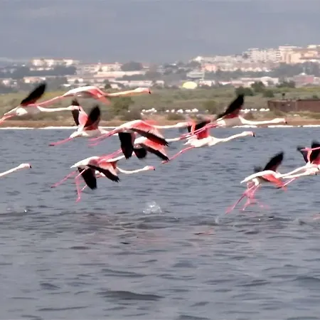 Sea&sun * Quartu SantʼElena