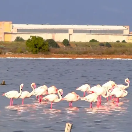 Sea&sun Куарту-Сант'Элена